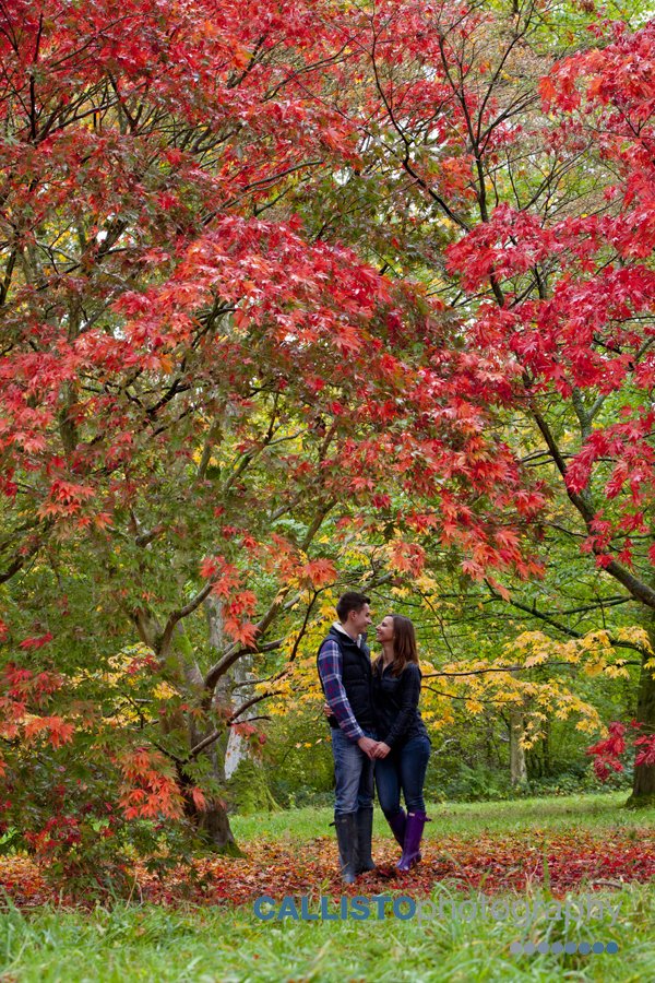 westonbirt-arboretum-autumn-engagement