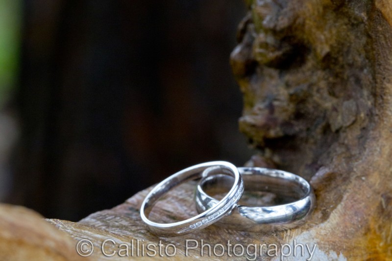 wedding rings in gnarled wood