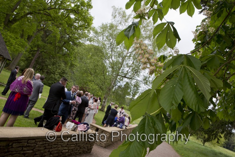 wedding guests conker tree