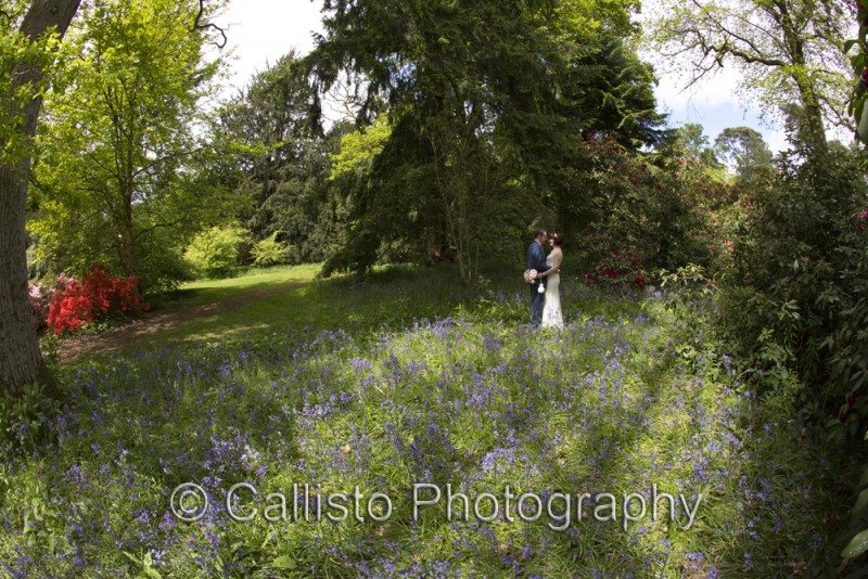 couple in bluebells