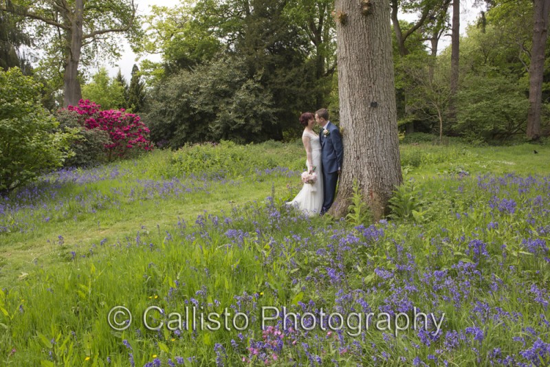 louise and gareth in bluebells