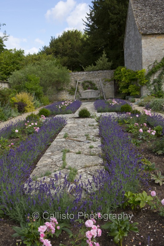 beautiful lavender knot garden