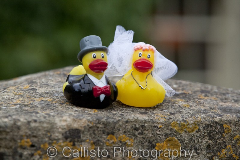 rubber ducks bride and groom