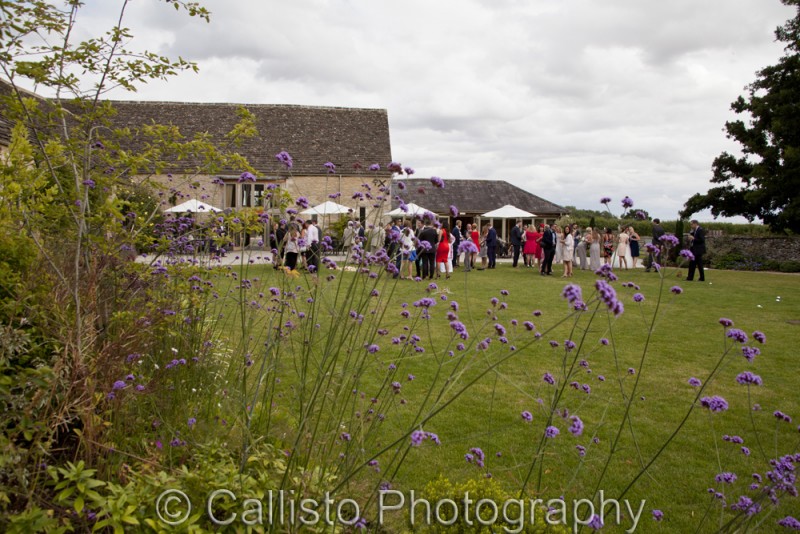 wedding guests in purple flowers