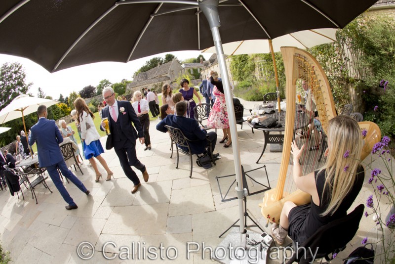 harpist at wedding