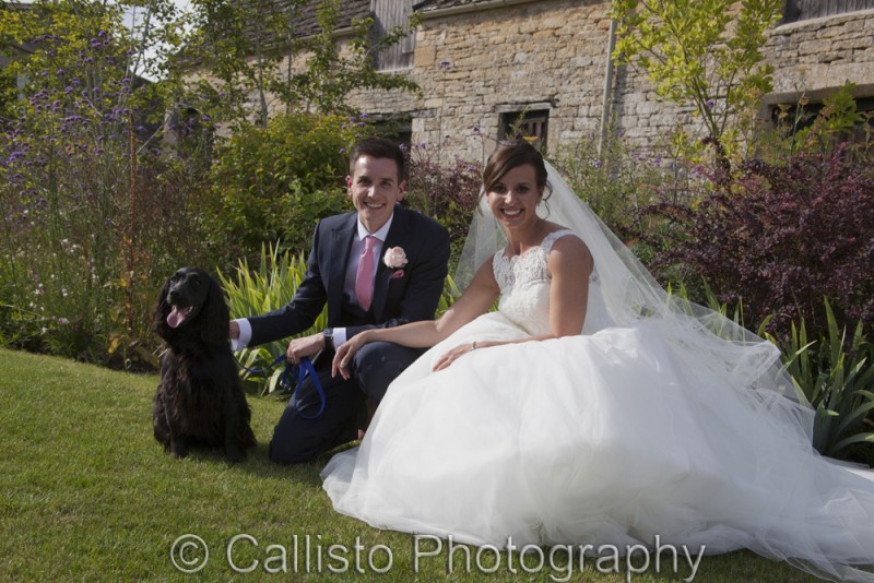 alfie the dog at owners wedding