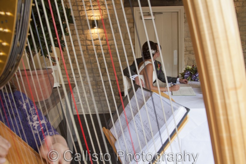 harpist at wedding