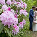 Westonbirt Wedding – Woodland Celebration